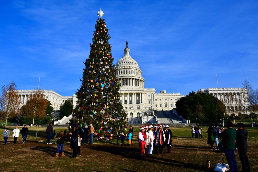 Festive Folks and US Capitol Christmas Tree